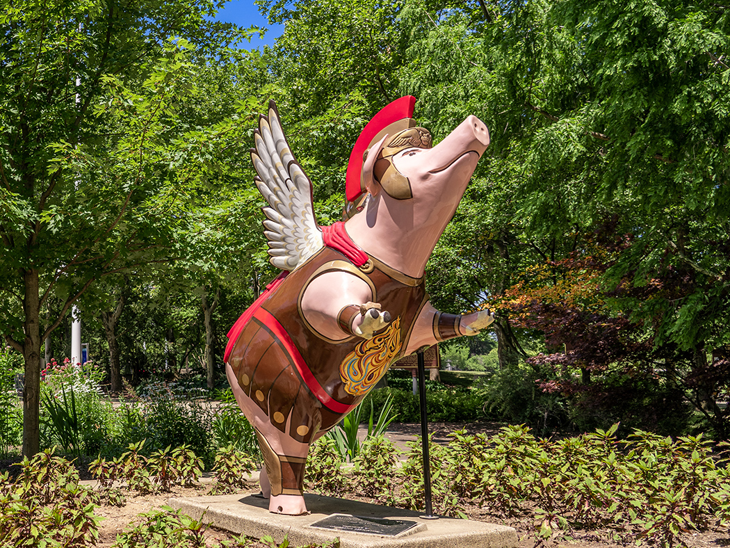 pigs fly